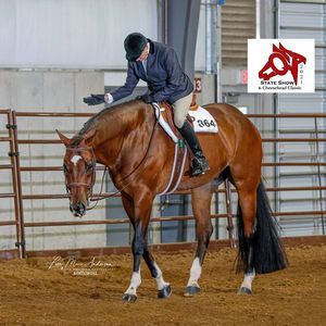 Meet your Posher, Tina